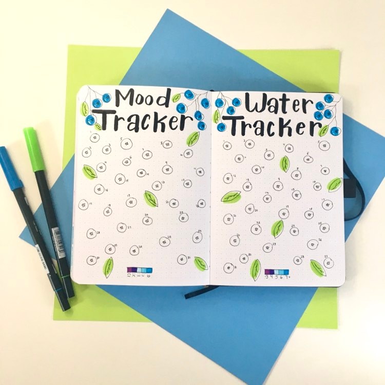 mood tracker and water tracker bujo august